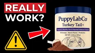 Отзывы о PuppyLabCo Turkey Tail &ndash; PuppyLabCo &ndash; это легальный или мошеннический питомник?