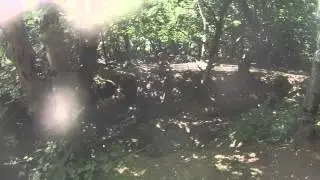 Crundale bomb hole