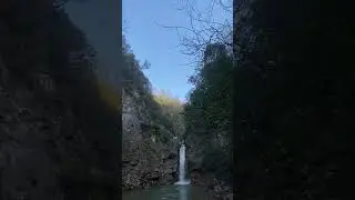 A short thought break  #shorts #shortvideo #subscribe #serenity  #natural