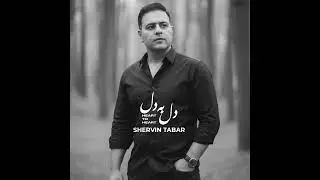 Shervin Tabar ( Del Be Del ) , شروین تبار (دل به دل)