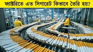 Inside Cigarette Factory 🚬 | সিগারেট তৈরির গোপন রহস্য | Deadly Documentary in Bangla
