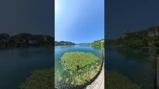 Lake Bled #Shorts