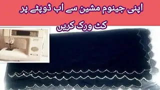 Cutwork Dupatta Design At Home | Cutwork Embroidery On Organza Dupatta |Janome Machine 8200