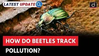 Carabid Beetles: Tracking Microplastics in Soil | Bioindicator | Latest Update | Drishti IAS English