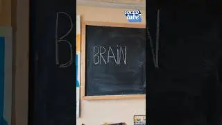 brain - English Vocabulary Learning #Shorts