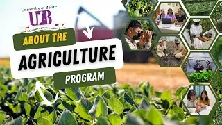 The Agriculture Program at the University of Belize
