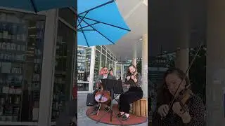 Lover - Taylor swift (cello and Violin cover)