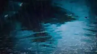 Pure Rain Sounds for Sleeping | No Music, High-Fidelity ASMR