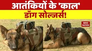 Military Dogs, Indian army dogs training: डॉग ब्रिगेड को सलाम | How a Military Dogs Trained in India