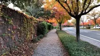 DJI Mavic Air: Bike Ride