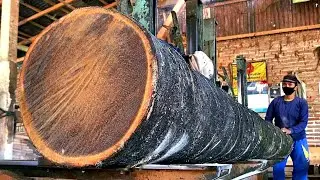 The Hard Impact of a Sawmill: Coconut Tree Wood for Construction