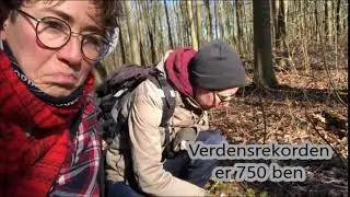 Kom med! Dyr i skoven, del 1