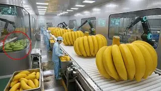 Proceso de producción de jugo de plátano en una fábrica moderna y automatizada