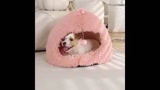 Does your pet struggle to relax or sleep through the night?