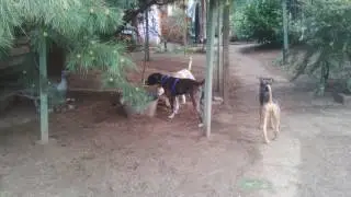 Marcusplay