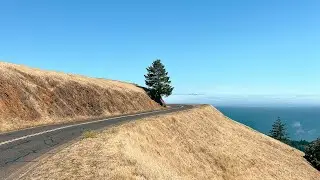 Hiking From Trojan Point in Mount Tamalpais State Park | Loyal Kinfolk Travel