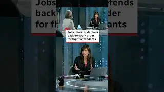 Jobs minister defends ordering flight attendants back to work