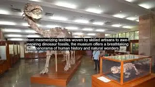 Kolkatta Museum