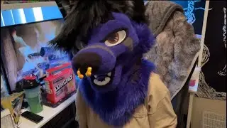 DUMB Furry (BADLY) Reviews Lunchly! (It wasn't great)