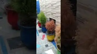 جولة خفيفة @في باب الحد (العاصمة)