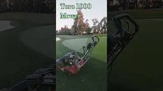 1st Tournament Greens Mowing 1/7 #maintenance #golfcourse #golf #tournament