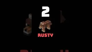 Top 5 Rarest Dog in Minecraft