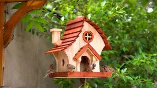 Create Your OWN Adorable Wooden Bird Feeder at Home!