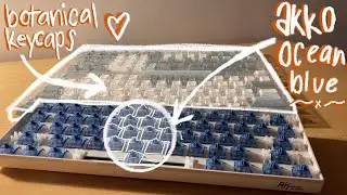 [unboxing] new akko ocean blue switches & new key caps from shopee ?! 🎁📍