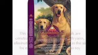 Top Dog Food Brands in USA
