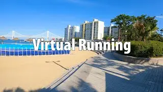 Running Through Busan: 35-Minute Beach and City Jog
