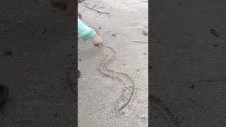 Cute Boy drawing on the Beach. (046) #snake #drawing #cute #cuteboy #draw #amazing #omg #beach