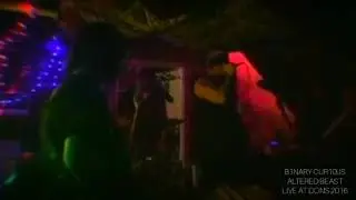 B1NARY CUR10US - Altered Beast (Live from Weekend @ Don's 5 - 4/23/2016)