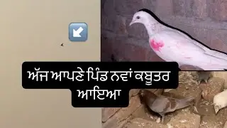 Dekho ki bnya ajj wali video vich❤️✅