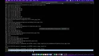 Debugging high memory usage of Redis in neeto application