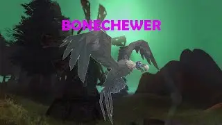 Замечательные питомцы из WoW и где их найти | [BONECHEWER]