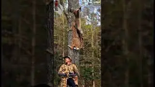 the hunter and the deer #funny #strange #deer #hunting #aivideogenerator