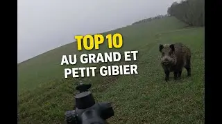Top 10 au grand gibier et petit gibier !!!