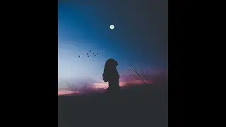 Solitude (Prod. Cyntrik) - 𝙡𝙤𝙛𝙞