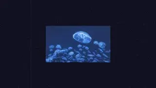 [FREE] Sierra Kidd x PAIN x Ambient Type Beat - Schatten (prod. Deymx) 2025