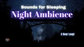 🌌 3 Hours of Loopable Night Ambience | Crickets, frogs & Relaxing Night Sounds