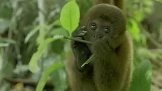 Peru Expeditions Tours Offer trips in major cities in Peru. Let's go to Peru  #PeruDestination