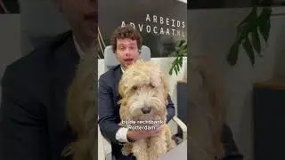 Ontslagvergoeding door kantoorhond