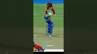 Suryakumar Yadav Best Shorts Highlights | SKY 360&deg; Batting Cricket.