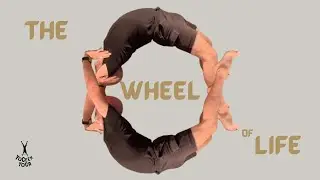 Beginners Yoga Functional Wheel Pose
