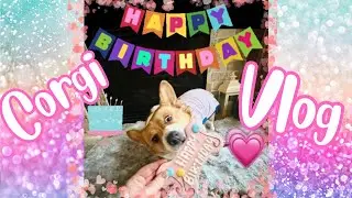 A Corgi Happy Birthday Vlog! - Day In the Life of Susan the Dog!