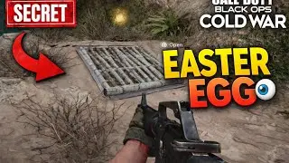 99% Of Players Miss This Easter Egg In COD Cold War
