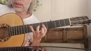Fields of gold spanish guitar