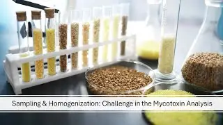 Sampling & Homogenization: Challenge in the Mycotoxin Analysis