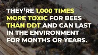 Neonicotinoid Pesticides Have Caused A Huge Surge in the Toxicity of U.S. Agriculture