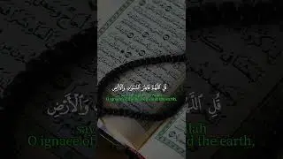 কুরআন তিলাওয়াত #islamic #insight #videos #islam #quran #duet #tranding #islamic insight 2.0